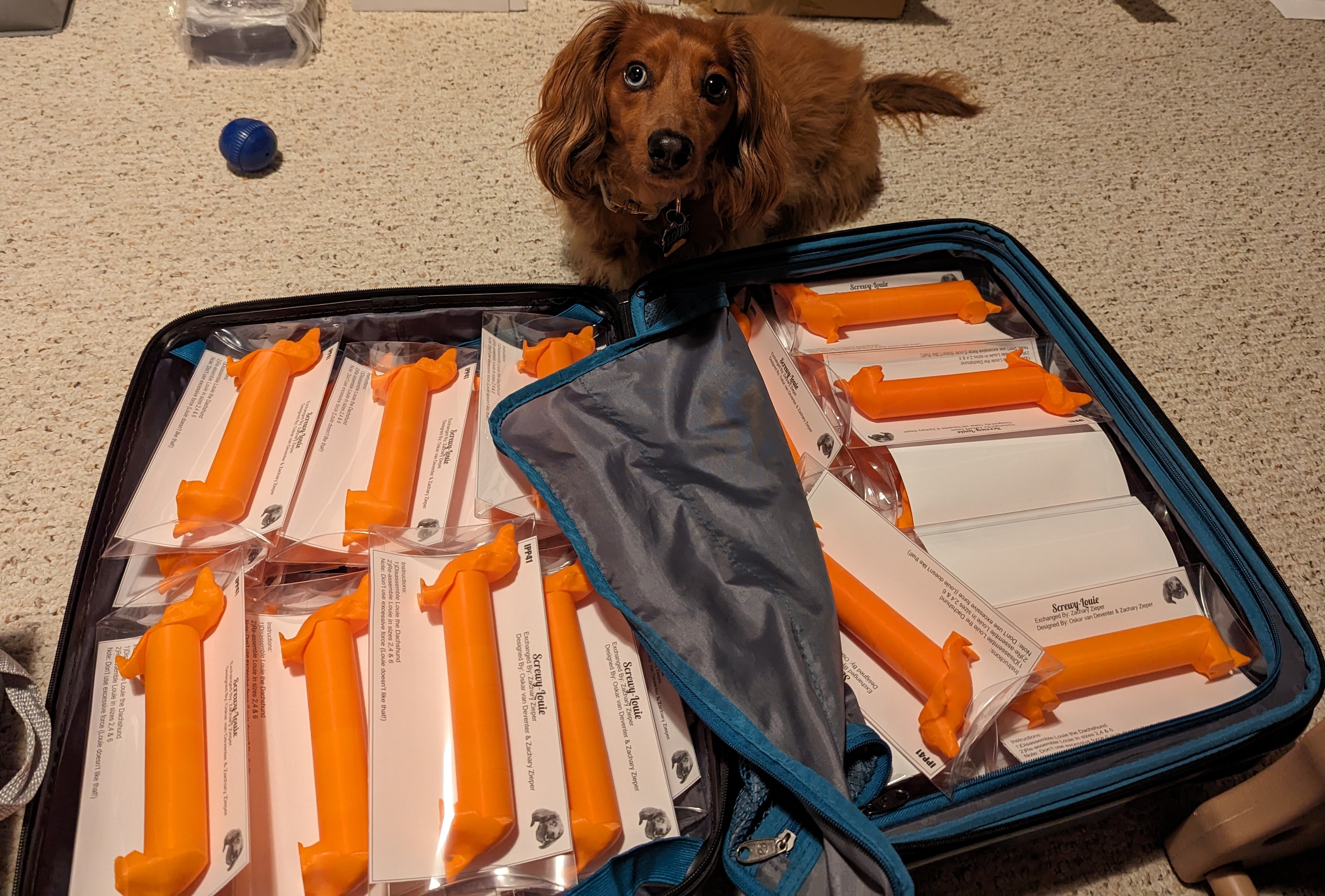 Louie with suitcase of exchange puzzles