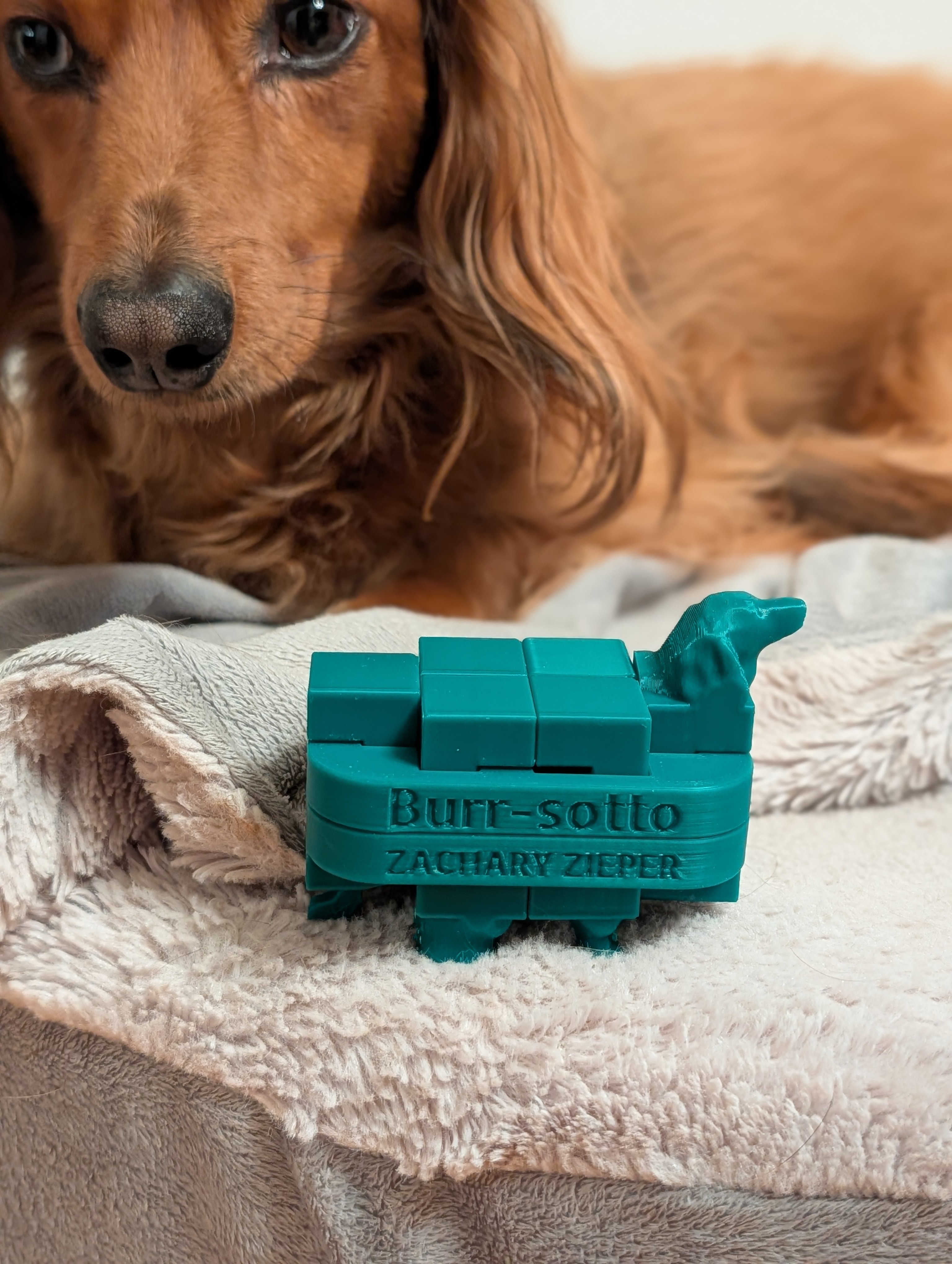 Full Puzzle — IPP 43