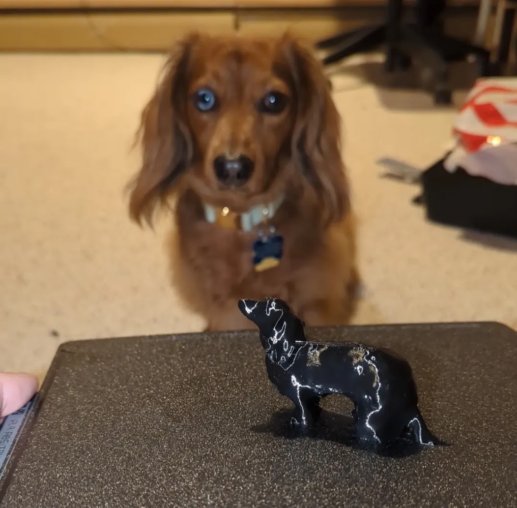 Louie and 3D Printed Model